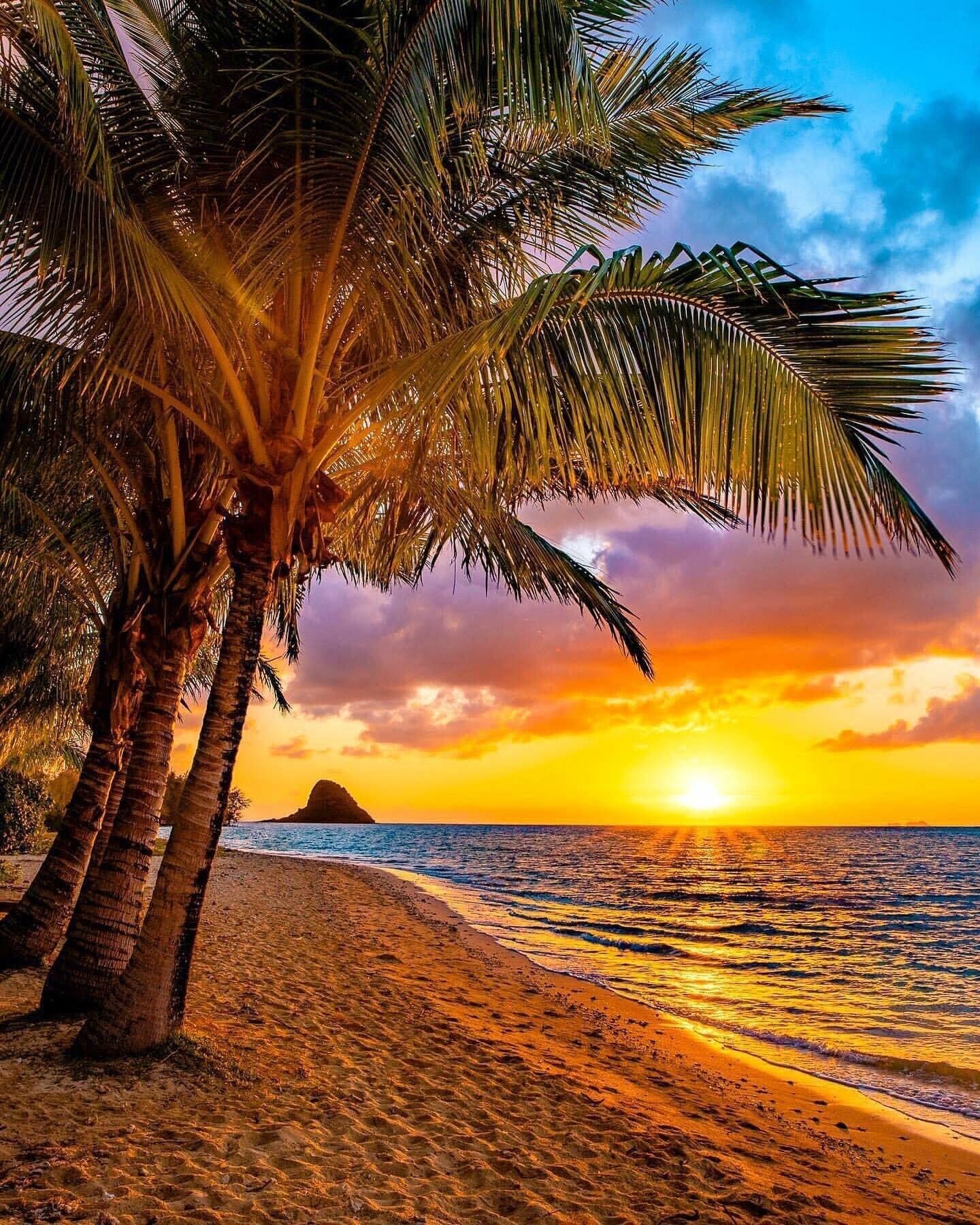a beautiful sunset on a white sandy beach in hawaii