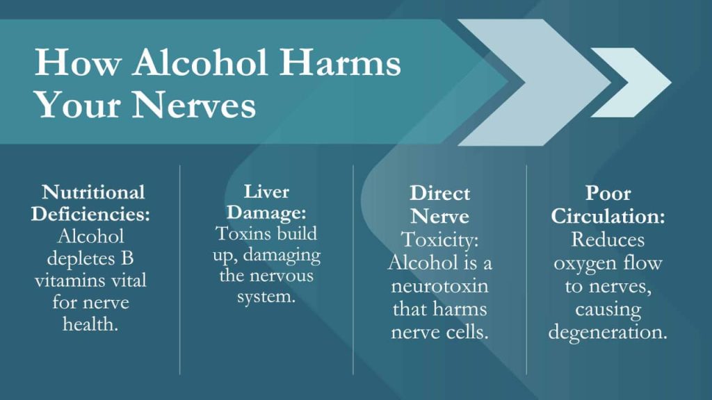 How Alcohol Affects the Nervous System
