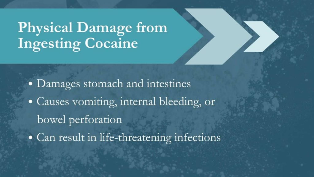 Can you eat cocaine