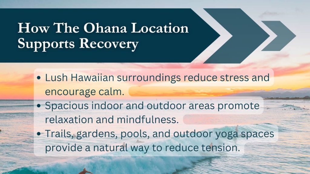 The Ohana alcohol eye twitching