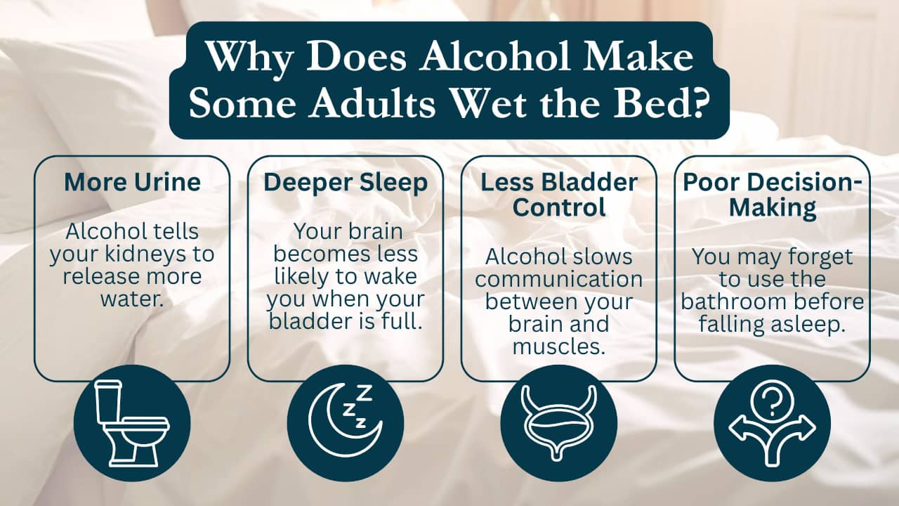 Why does alcohol make people wet the bed